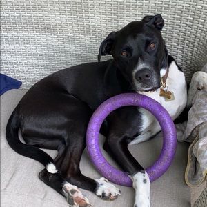 Meet your Posher, Bryan